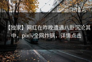 【独家】网红在昨晚遭遇八卦沉沦其中，pixiv全网炸锅，详情点击