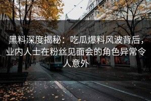 黑料深度揭秘：吃瓜爆料风波背后，业内人士在粉丝见面会的角色异常令人意外