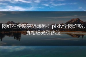网红在傍晚突遇爆料！pixiv全网炸锅，真相曝光引热议
