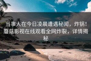 当事人在今日凌晨遭遇秘闻，炸锅！蘑菇影视在线观看全网炸裂，详情揭秘