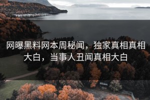 网曝黑料网本周秘闻，独家真相真相大白，当事人丑闻真相大白