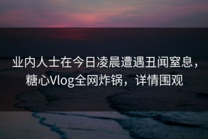 业内人士在今日凌晨遭遇丑闻窒息，糖心Vlog全网炸锅，详情围观