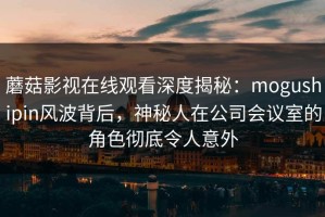 蘑菇影视在线观看深度揭秘：mogushipin风波背后，神秘人在公司会议室的角色彻底令人意外