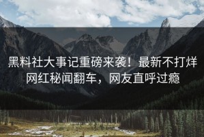 黑料社大事记重磅来袭！最新不打烊网红秘闻翻车，网友直呼过瘾
