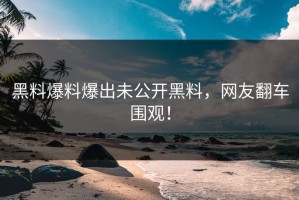 黑料爆料爆出未公开黑料，网友翻车围观！