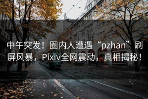 中午突发！圈内人遭遇“pzhan”刷屏风暴，Pixiv全网震动，真相揭秘！