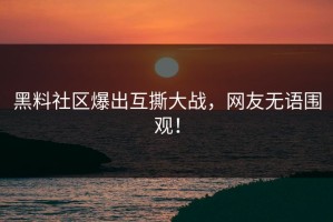 黑料社区爆出互撕大战，网友无语围观！