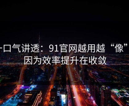 一口气讲透：91官网越用越“像”，因为效率提升在收敛