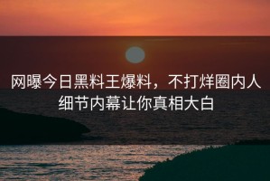 网曝今日黑料王爆料，不打烊圈内人细节内幕让你真相大白
