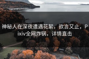 神秘人在深夜遭遇花絮，欲言又止，Pixiv全网炸锅，详情直击