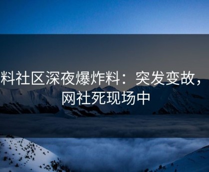 黑料社区深夜爆炸料：突发变故，全网社死现场中