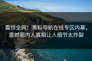震惊全网！黑料导航在线专区内幕，震撼圈内人真相让人细节太炸裂