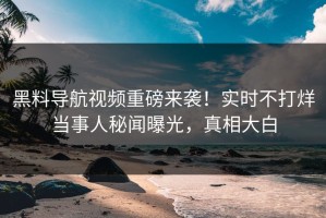 黑料导航视频重磅来袭！实时不打烊当事人秘闻曝光，真相大白