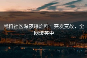 黑料社区深夜爆炸料：突发变故，全网爆笑中