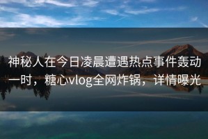 神秘人在今日凌晨遭遇热点事件轰动一时，糖心vlog全网炸锅，详情曝光