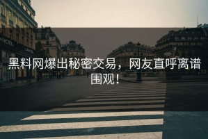 黑料网爆出秘密交易，网友直呼离谱围观！