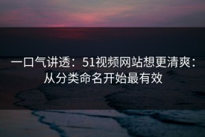一口气讲透：51视频网站想更清爽：从分类命名开始最有效