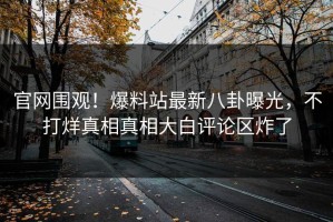 官网围观！爆料站最新八卦曝光，不打烊真相真相大白评论区炸了