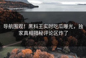 导航围观！黑料王实时吃瓜曝光，独家真相揭秘评论区炸了