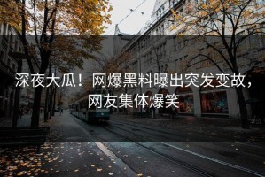 深夜大瓜！网爆黑料曝出突发变故，网友集体爆笑