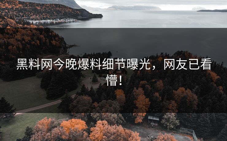 黑料网今晚爆料细节曝光，网友已看懵！