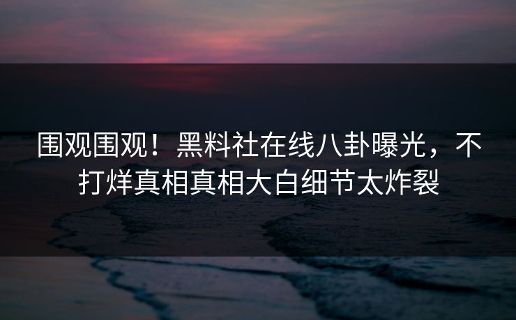 围观围观！黑料社在线八卦曝光，不打烊真相真相大白细节太炸裂