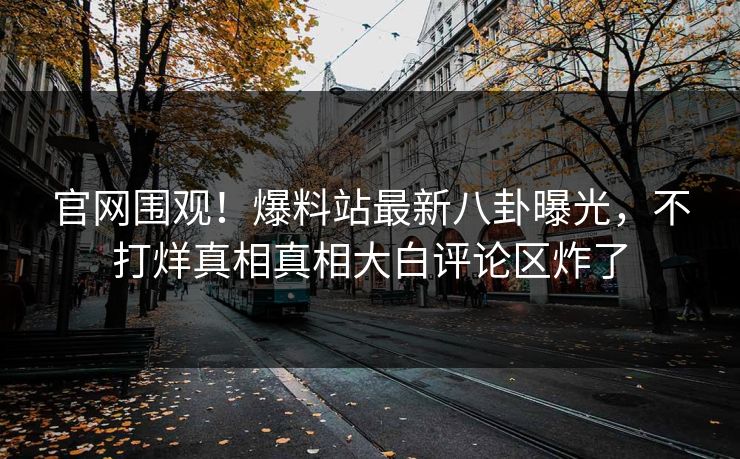 官网围观！爆料站最新八卦曝光，不打烊真相真相大白评论区炸了