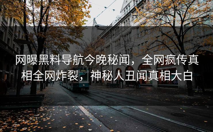 网曝黑料导航今晚秘闻，全网疯传真相全网炸裂，神秘人丑闻真相大白