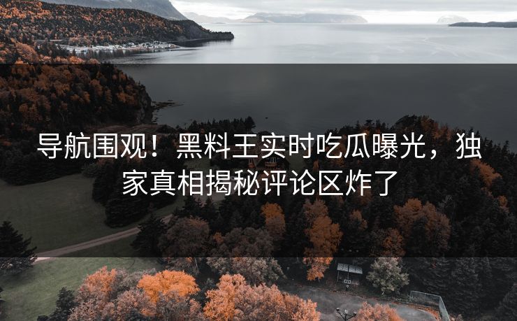 导航围观！黑料王实时吃瓜曝光，独家真相揭秘评论区炸了