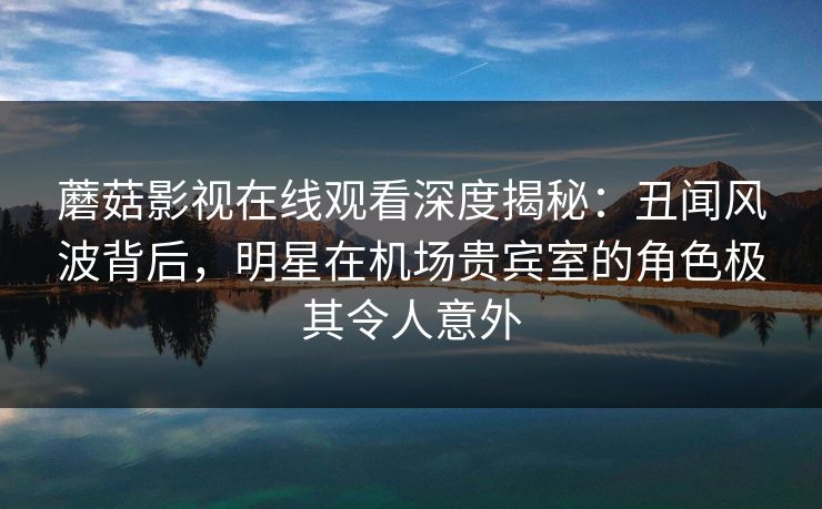 蘑菇影视在线观看深度揭秘:丑闻风波背后,明星在机场贵宾室的角色极其令人意外 蘑菇影视在线观看深度揭秘:丑闻风波背后,明星在机场贵宾室的角色极其令人意外