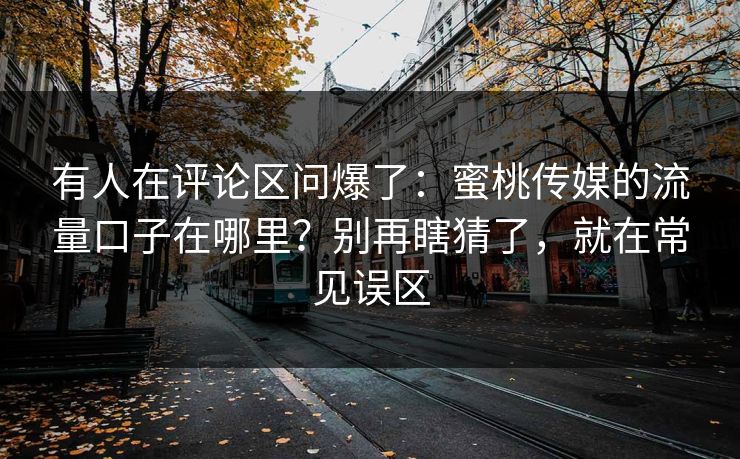 有人在评论区问爆了：蜜桃传媒的流量口子在哪里？别再瞎猜了，就在常见误区