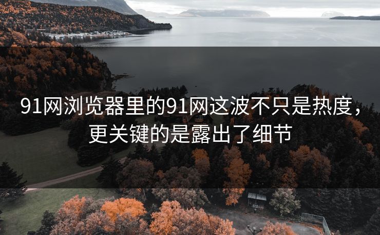 91网浏览器里的91网这波不只是热度，更关键的是露出了细节